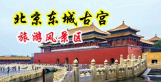欧洲成人尻屄视频中国北京-东城古宫旅游风景区